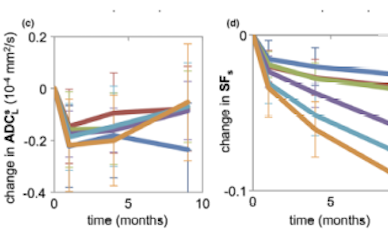 radiation induced white matter damage graph